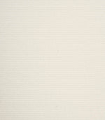 Light cream plain weave fabric with a delicate, even texture and understated horizontal grain.
