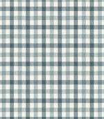 Country Gingham Fabric / Adriatic