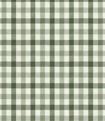 Country Gingham Fabric / Ivy