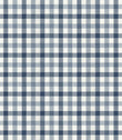 Country Gingham Fabric / Twilight