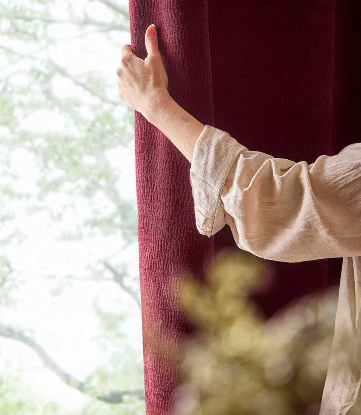 A person gently holds a deep beetroot red Heath washed velvet curtain beside a bright window, showing its soft, subtly textured surface.