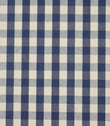 Close-up of blue and ivory small gingham check fabric showing the woven texture and timeless checked design.