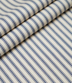 JF Ticking Fabric / Blue