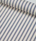 JF Ticking Fabric / Blue