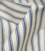 JF Ticking Fabric / Blue