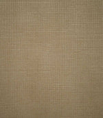 Close-up of Lois Velvet Oat plain fabric, showing its natural beige and taupe tones with a finely textured, woven-effect pattern and soft velvet finish.