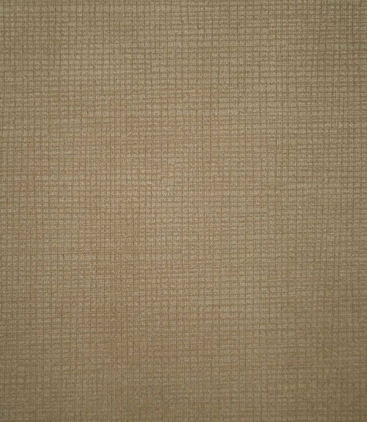Close-up of Lois Velvet Oat plain fabric, showing its natural beige and taupe tones with a finely textured, woven-effect pattern and soft velvet finish.