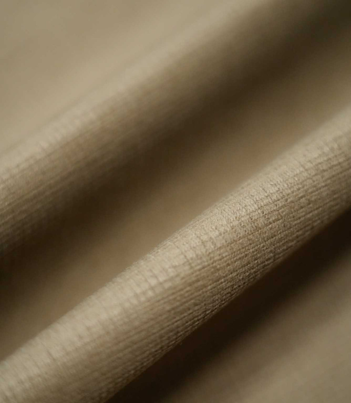 Lois Velvet Oat fabric arranged in gentle folds, showcasing its warm beige colour, softly textured velvet surface and fine linear detailing as the fabric catches the light.