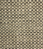 Meridian Fabric / Charcoal