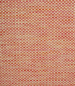 Meridian Fabric / Coral