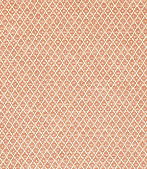 Rossini Fabric / Fired Earth