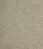 Selkirk Fabric / Ice