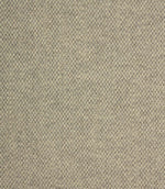 Selkirk Fabric / Ice