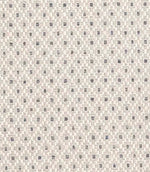 Rossini Fabric / Mineral