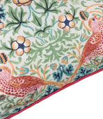 Strawberry Thief Coral / Leaf Green Piped Outdoor Cushion