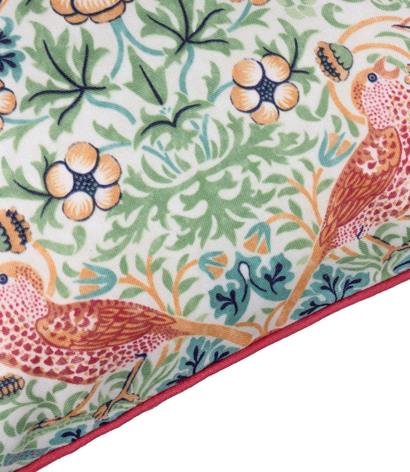 Strawberry Thief Coral / Leaf Green Piped Outdoor Cushion