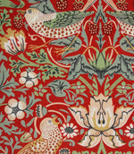 Strawberry Thief Velvet Fabric / Scarlet