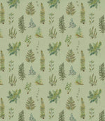 Verbena Fabric / Sage