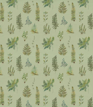 Verbena Fabric / Sage