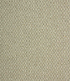 Vintage Plain Fabric / Antique