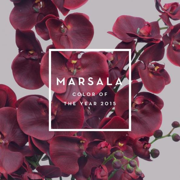 Colour of the Year - Marsala