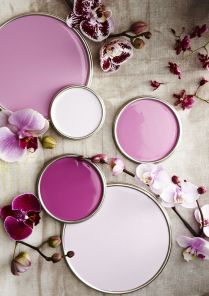 PANTONE PANTONE