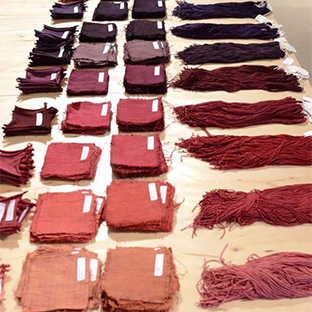 Pantone Pantone