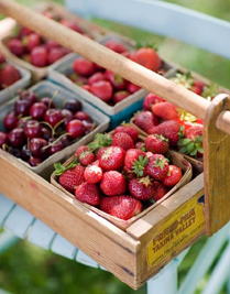 Conservatories and Garden Rooms Conservatories and Garden Rooms