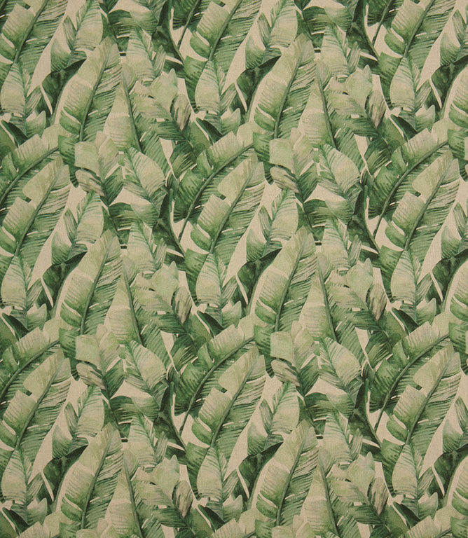 Amazon Fabric / Green