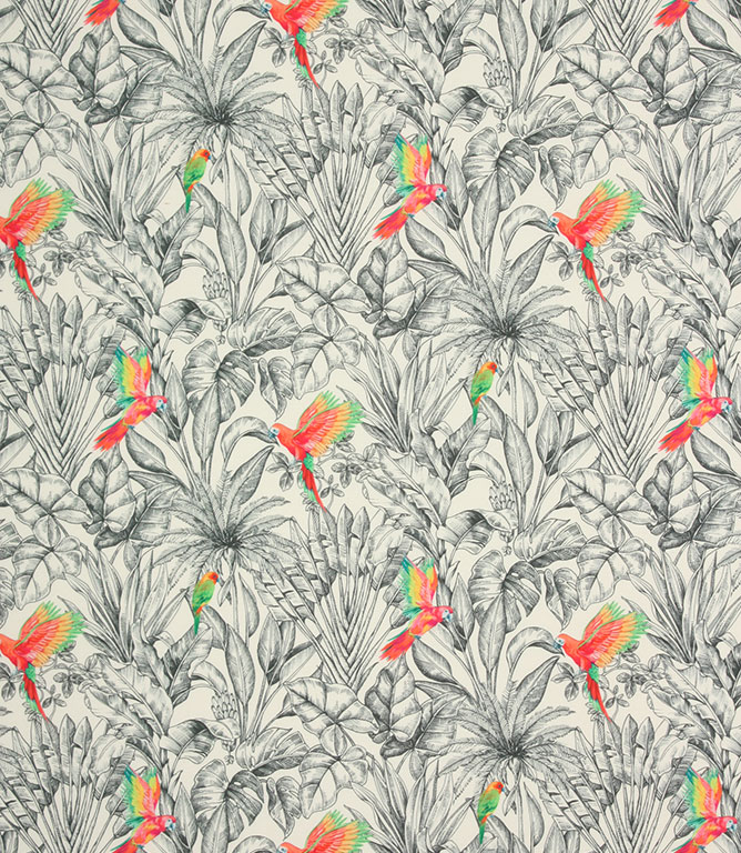 Macaw Outdoor Fabric / Blanc