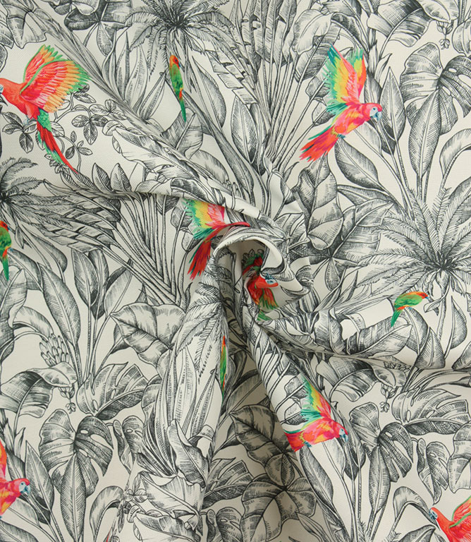 Macaw Outdoor Fabric / Blanc