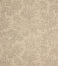 Zen Toile Fabric / Grey