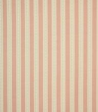 Daisy Stripe Fabric / Blush