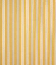 Daisy Stripe Fabric / Ochre