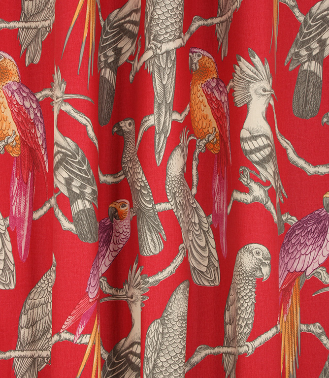 Aviary Fabric / Pomegranate | Just Fabrics