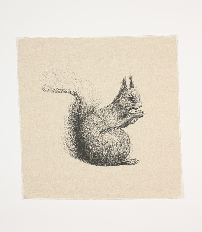 Squirrel Sketch Cushion Panel